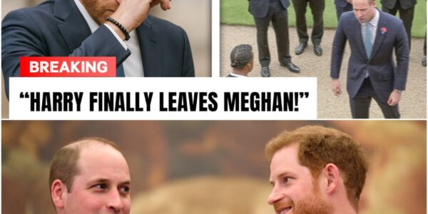 Prince William Refuses to Speak with Prince Harry Amid Public Pressure for Reconciliation